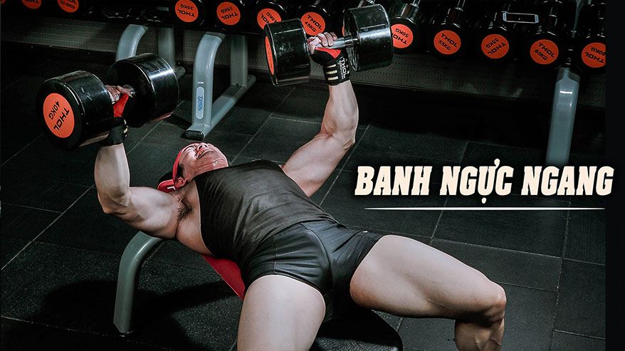 Banh ngực ngang theo MaxOT
