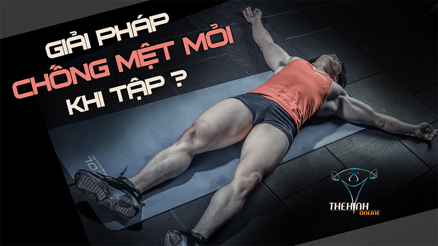 Giải pháp chống mệt mỏi, tăng cường sức mạnh khi tập gym
