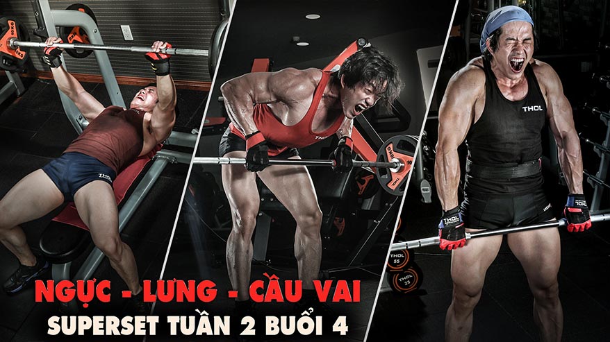 Superset - Tuần 2 buổi 4 - Tập cơ ngực, lưng, cầu vai - THOL