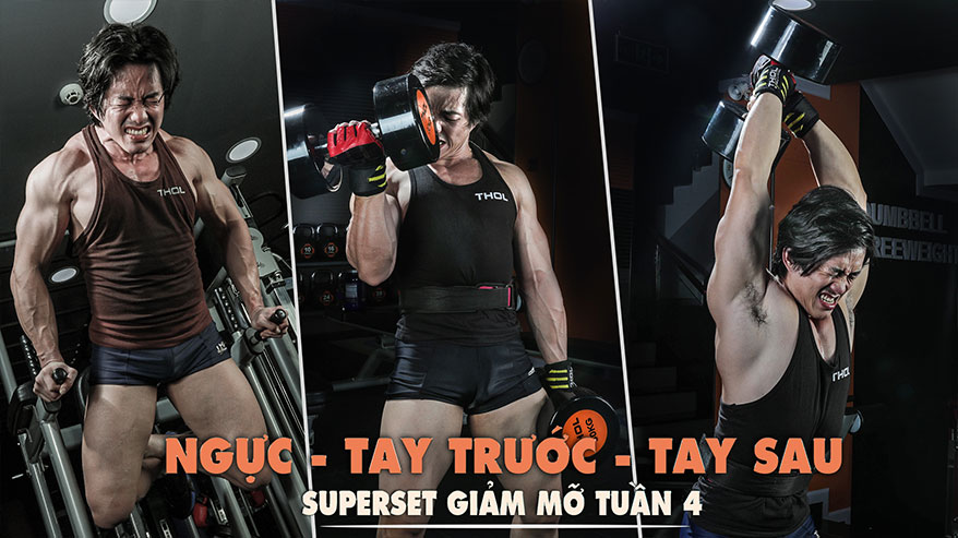 Superset - Tuần 4 - Extendedset Ngực Tay trước Tay sau -THOL