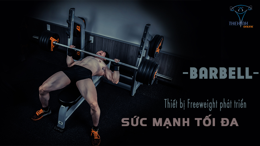 BARBELL – Thiết bị free weight phát triển SỨC MẠNH TỐI ĐA