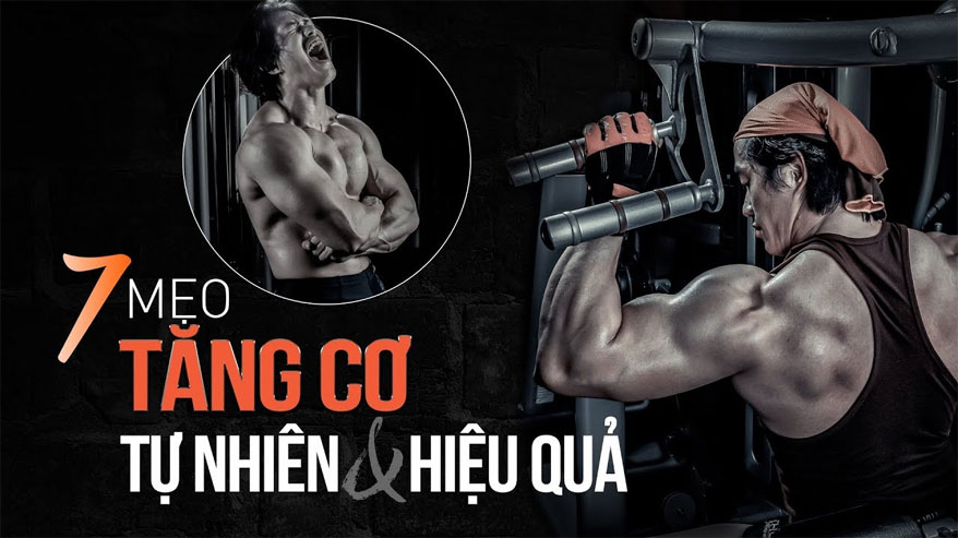 Tăng cân tăng cơ tự nhiên không tốn kém cho sinh viên