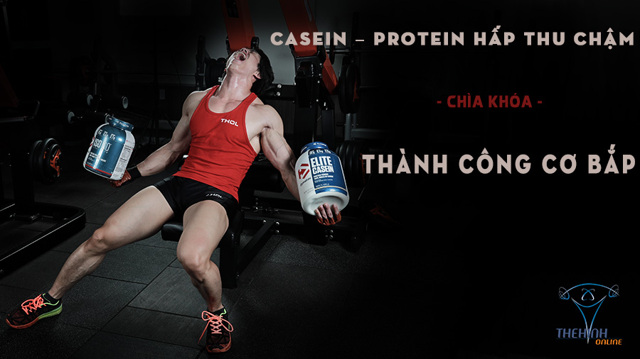 CASEIN – PROTEIN hấp thu chậm là chìa khóa thành công cơ bắp.