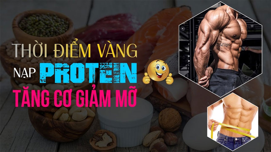 Protein tăng cơ giảm mỡ, giảm cân phù hợp với sinh viên