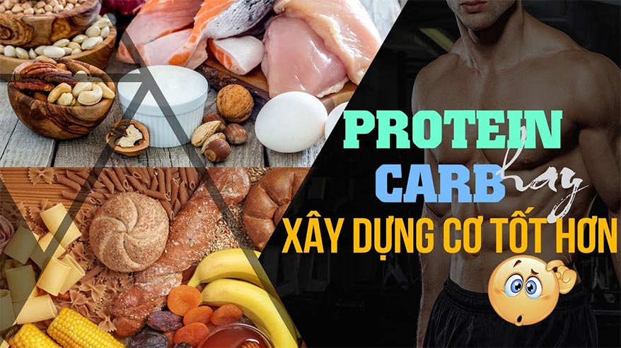 PROTEIN hay CARB sẽ giúp phát triển cơ bắp tốt hơn?