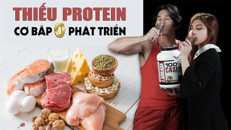 Lợi ích của việc bổ sung protein vào chế độ ăn uống
