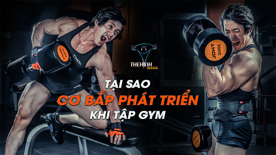 Tại sao cơ bắp phát triển khi tập Gym - Duy Nguyễn - THOL