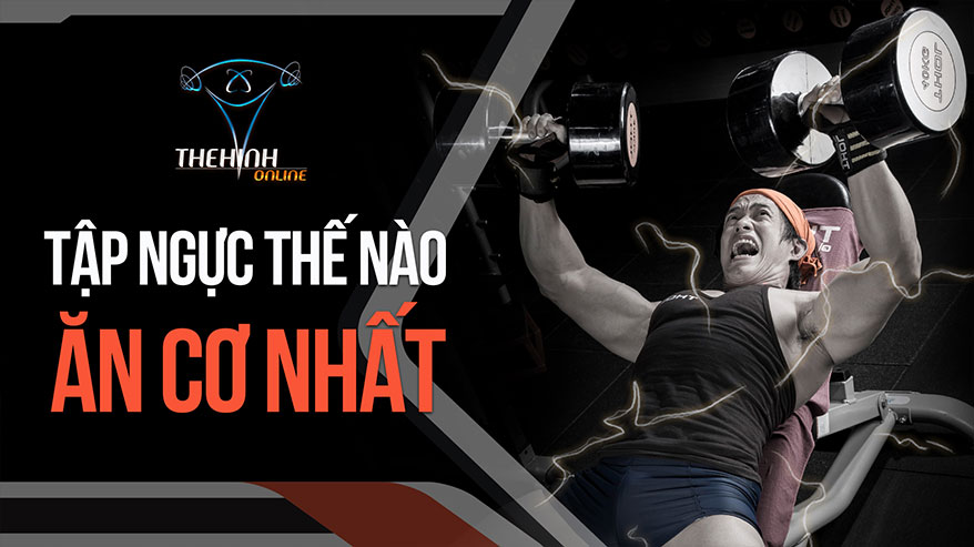 Cách tập nào ăn ngực: Full range hay đẩy nhấp?