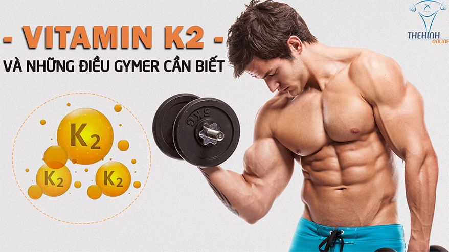 Vitamin K2: Mọi thứ cần biết với gymer