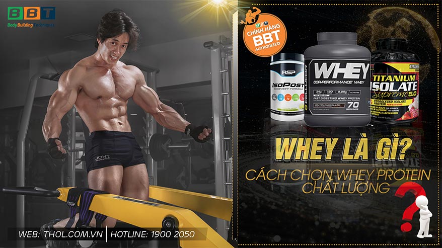 Whey là gì? Cách chọn sử dụng whey protein chất lượng đúng giá