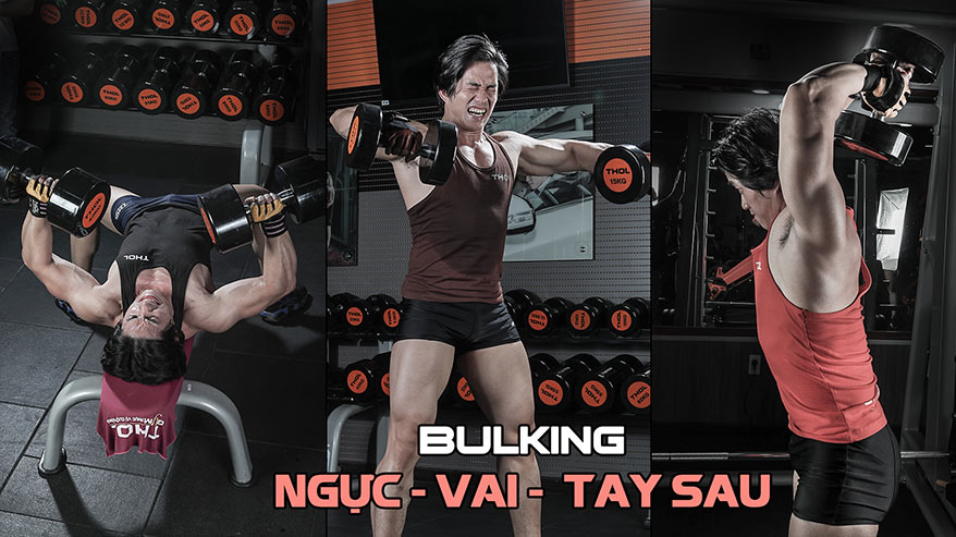[Video] Bulking B4: Gặp lại nhóm cơ Ngực - Vai - Tay Sau