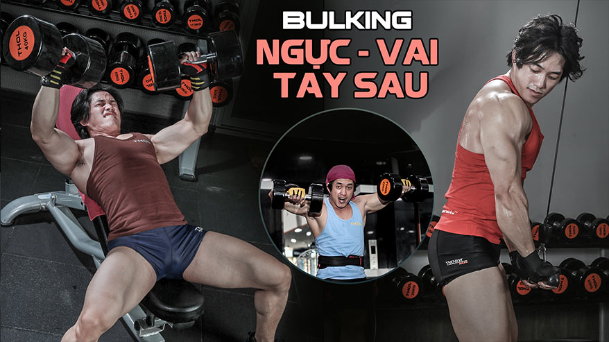 [Video] Bulking B1: Cường độ cao với Ngực - Vai - Tay Sau