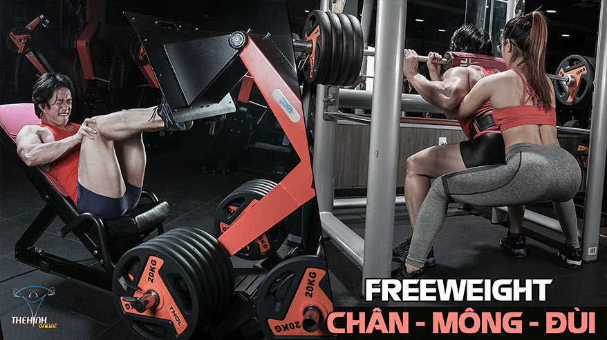 [Video] Free weight B1 - Những lưu ý quan trọng khi tập chân mông đùi