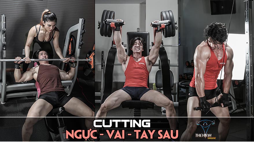 [Video] Cutting B1: Bắt đầu với nhóm cơ Ngực - Vai - Tay Sau