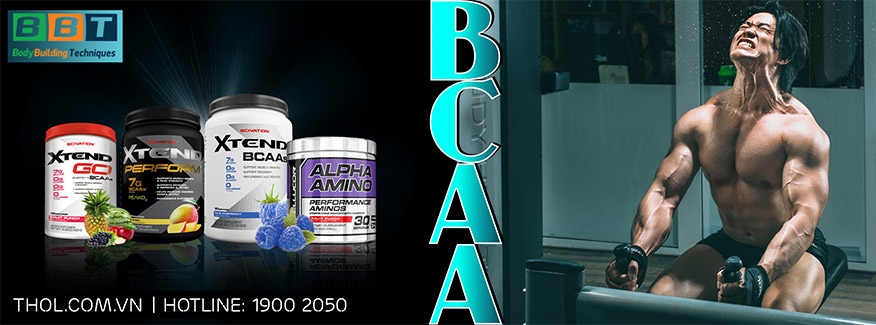BCAA phục hồi cơ bắp - THOL