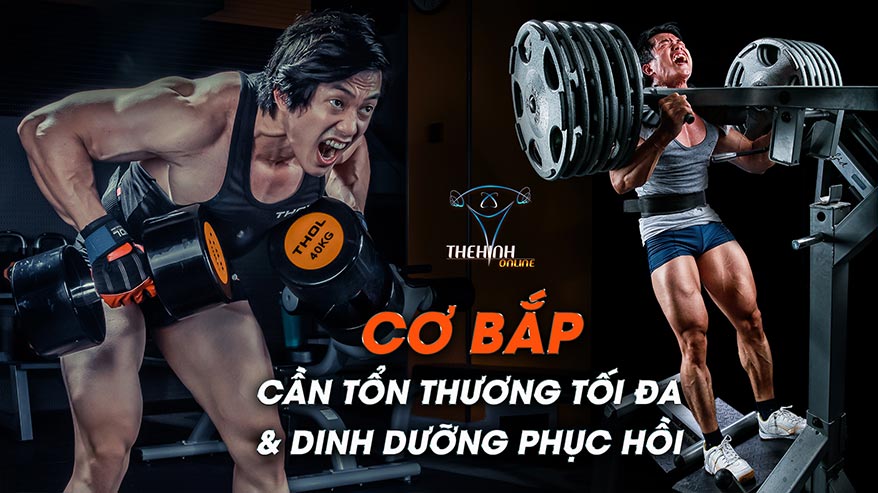 Điều kiện để cơ bắp phát triển tốt - THOL