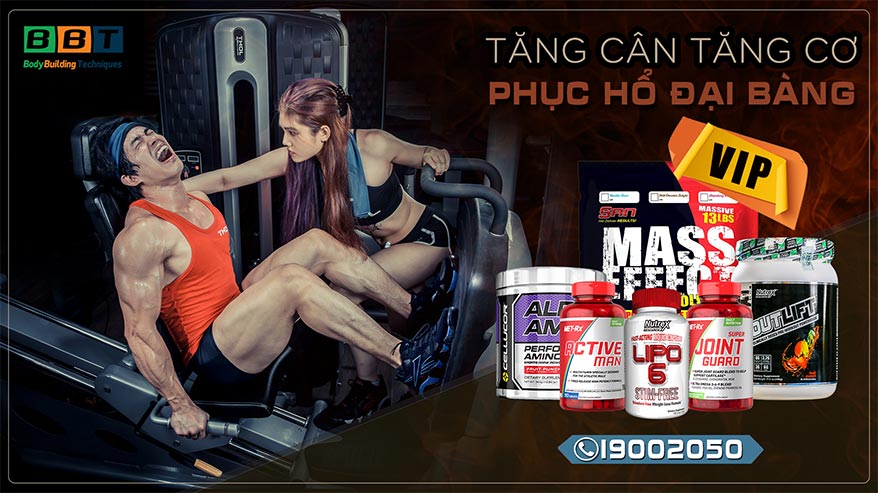 Tăng cân tăng cơ phục hổ đại bàng - THOL