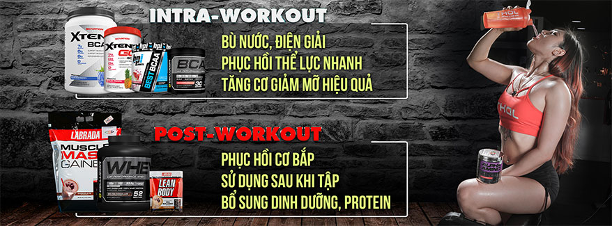 Intra - Post workout phục hồi, bổ sung năng lượng dinh dưỡng - THOL