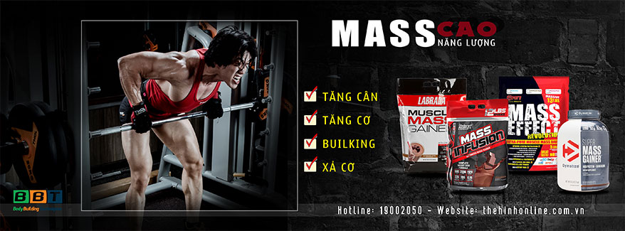 Mass cao năng lượng tăng cân tăng cơ - THOL