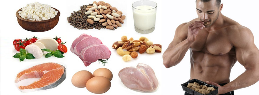 Thực phẩm giàu protein cho gymer - THOL